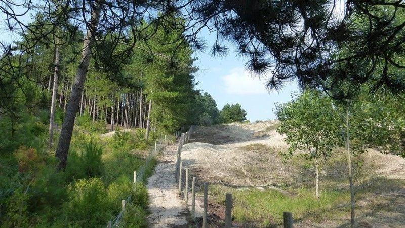 Hamac - Vue Mer - 100M Plage Berck 外观 照片