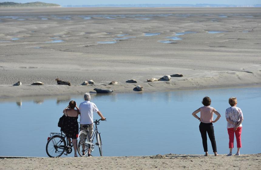 Hamac - Vue Mer - 100M Plage Berck 外观 照片